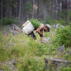 One Tree Planted for Every Ten Orders